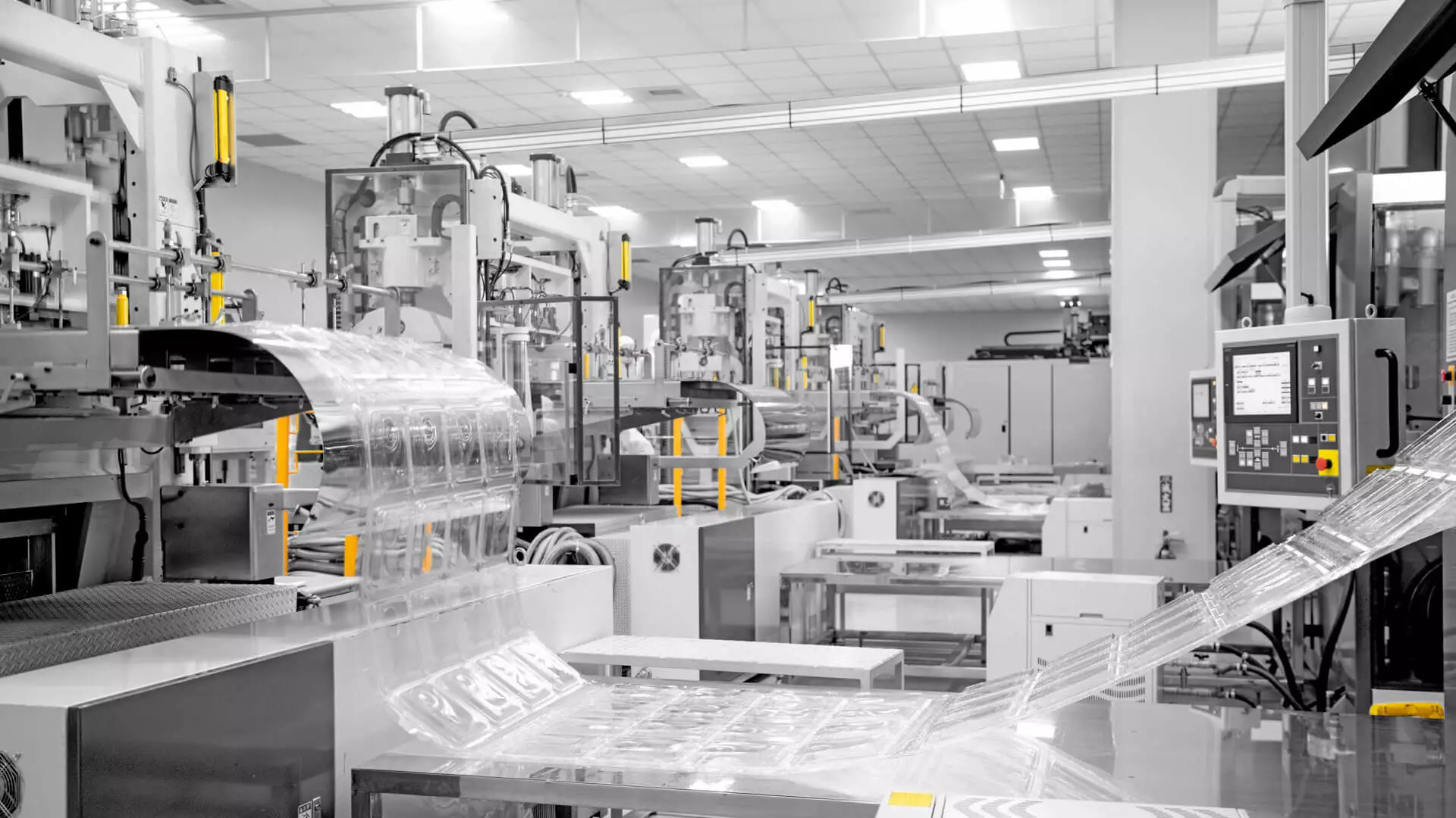 Plastic Food Packaging Manufacturer