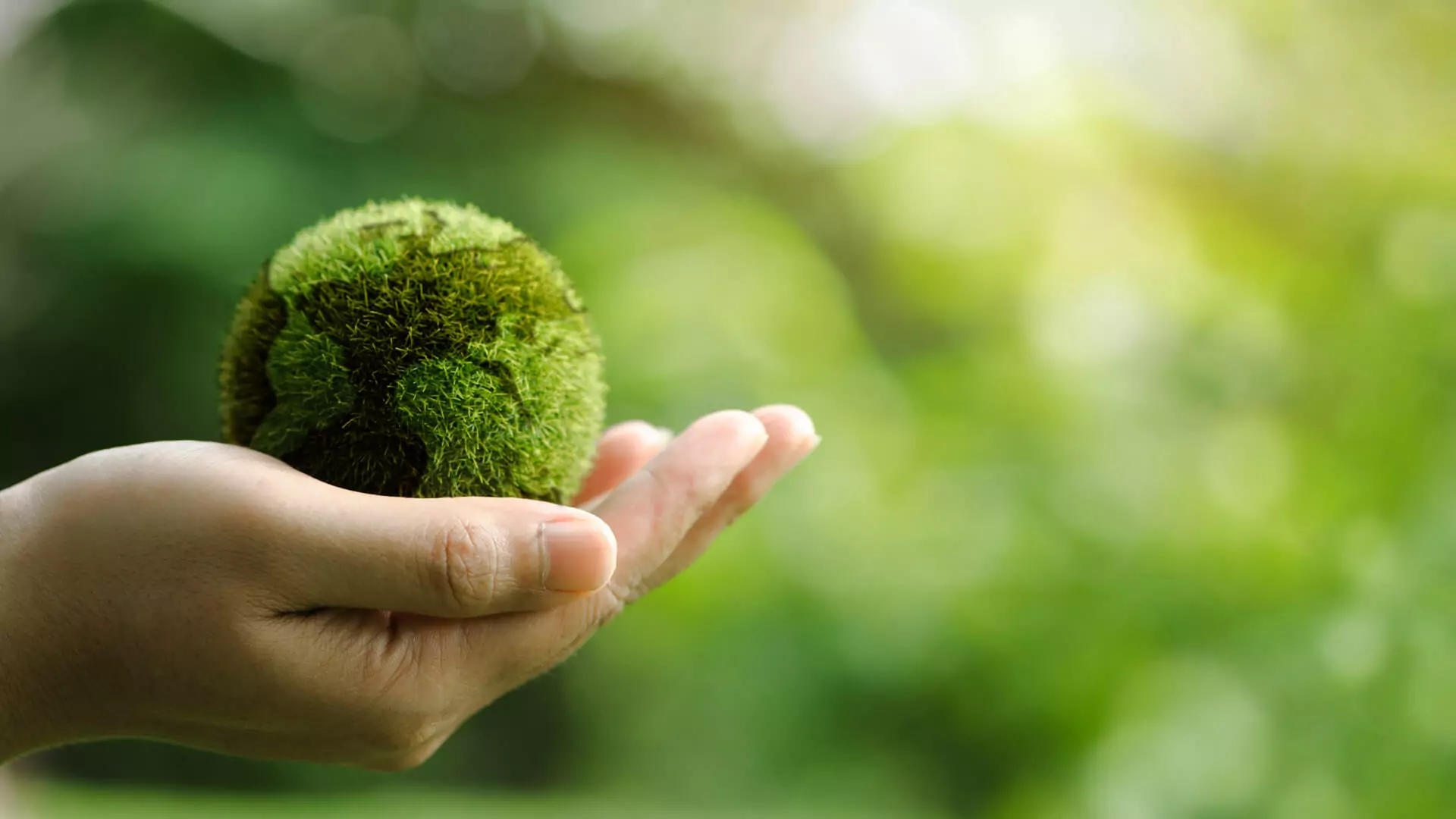 100% recycled packaging solutions