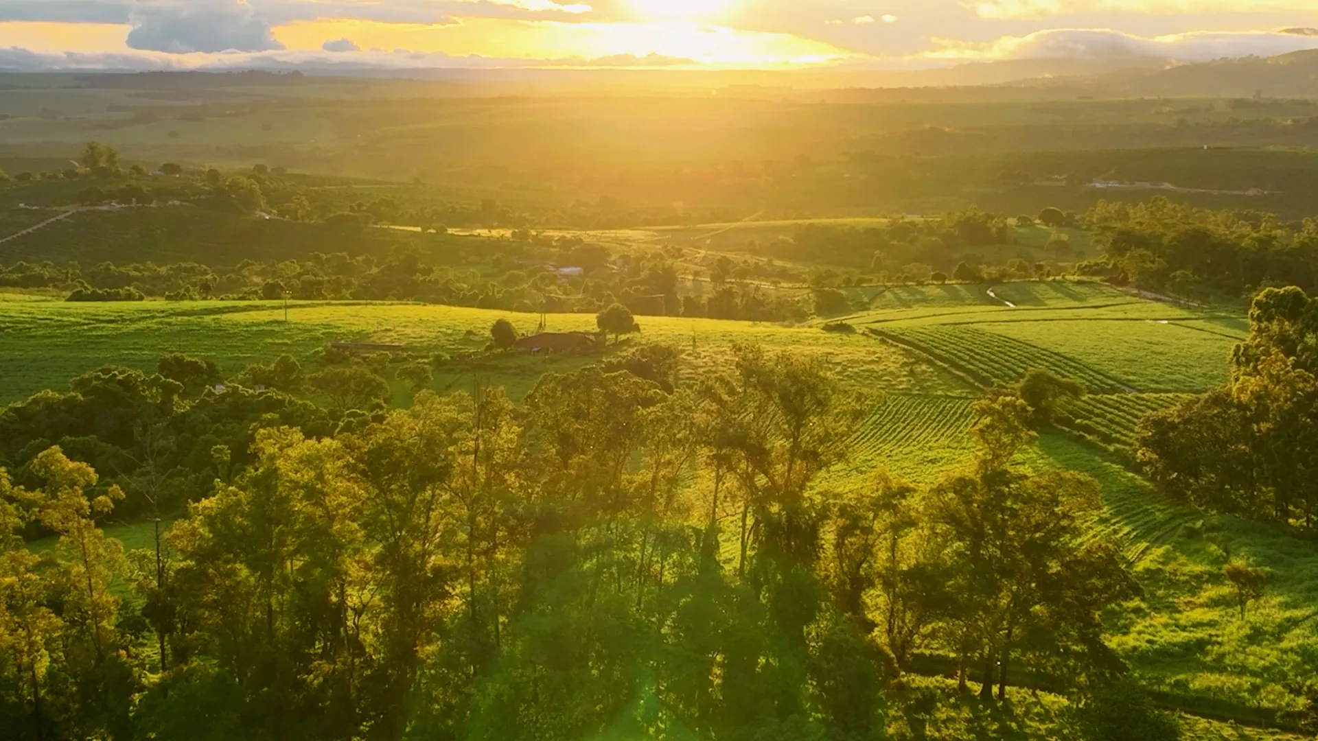 reSPIre eco friendly landscape