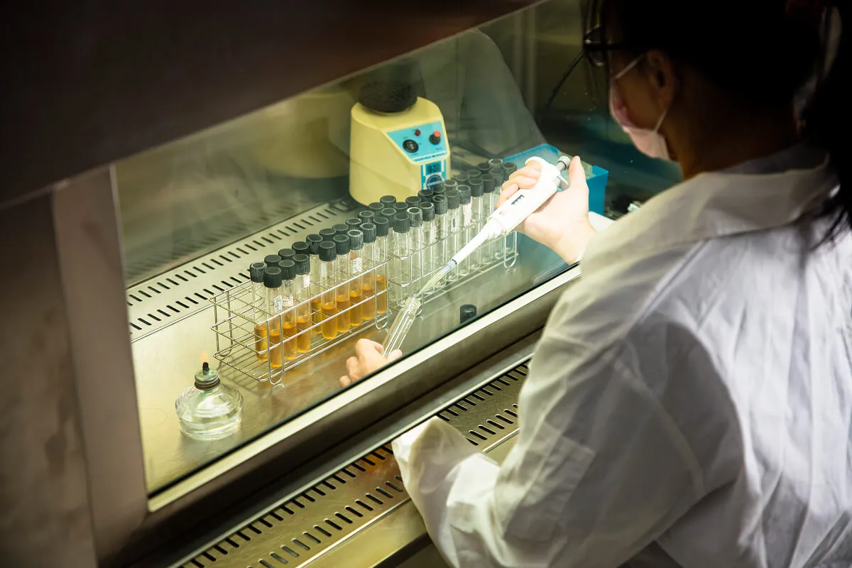 Materials Used in Food-Grade Thermoforming