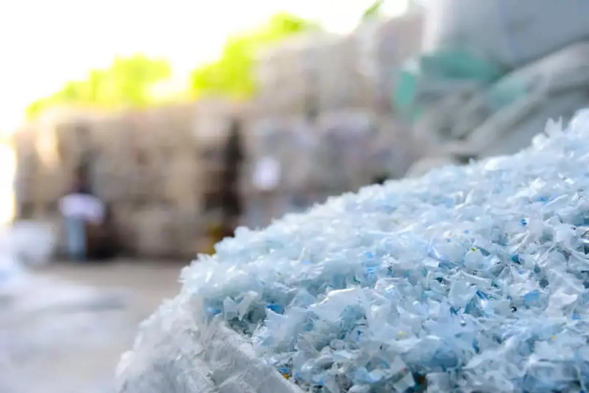 What is rPET: shredded recycled PET flakes being processed into new food packaging material